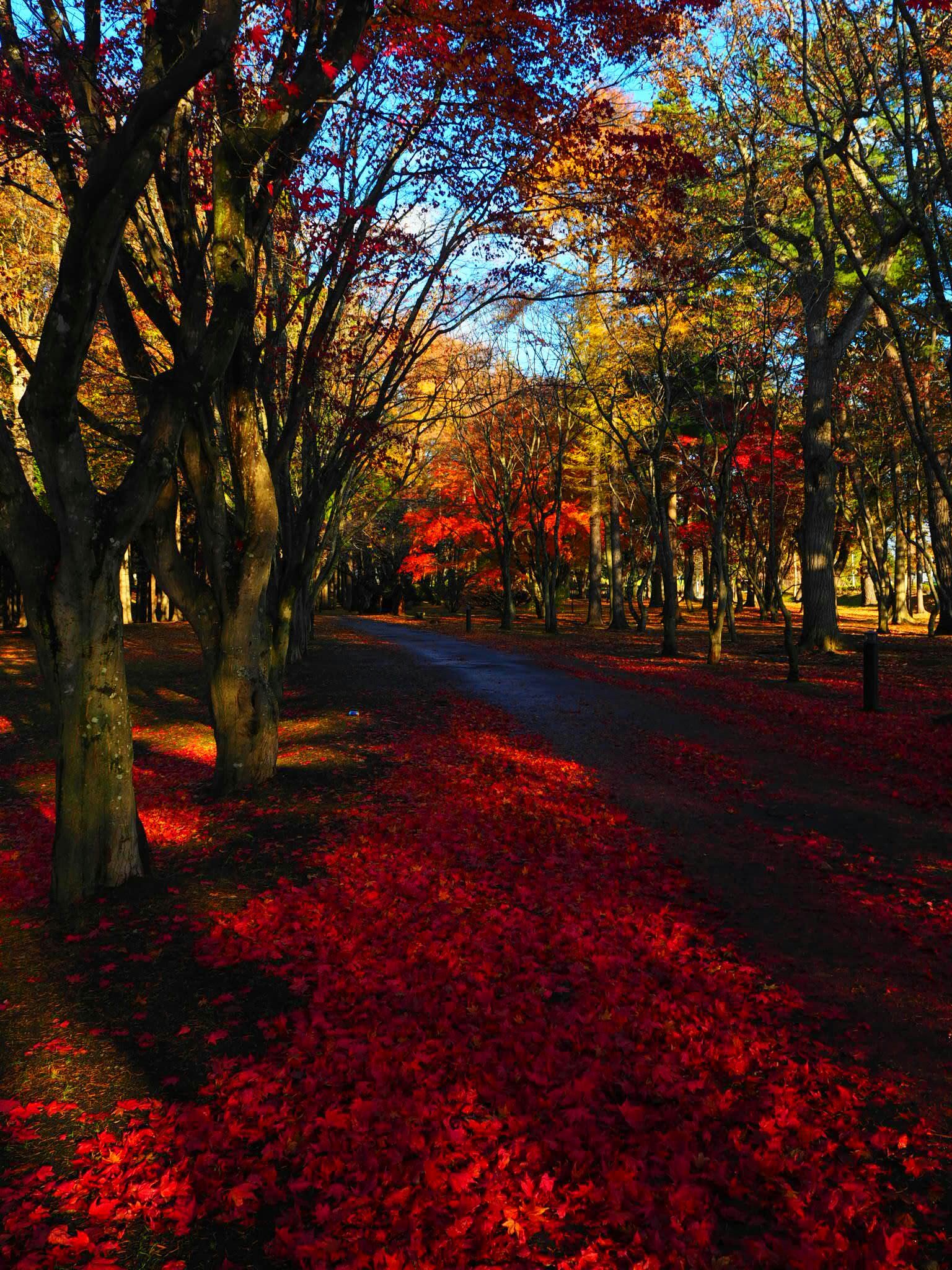 a-really-beautiful-place.jpg?w