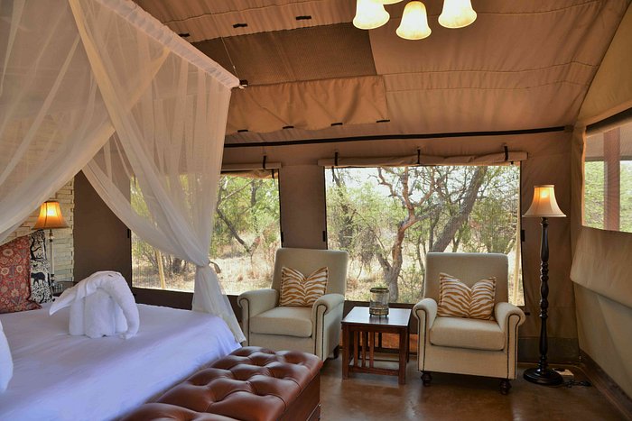 Safari Plains Tented Suite