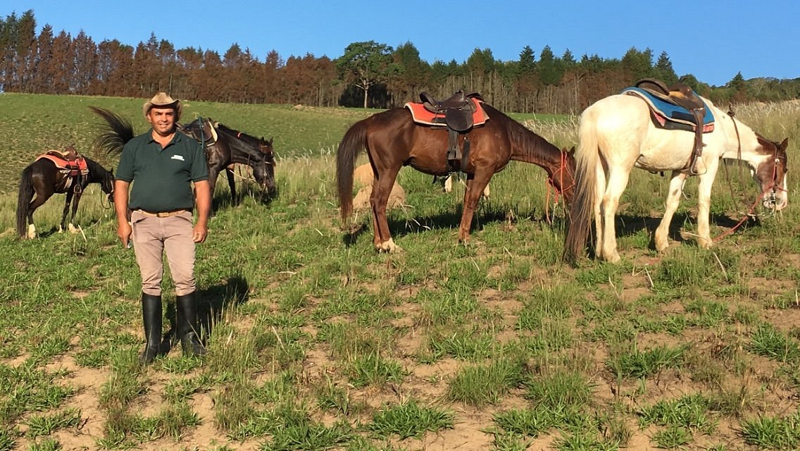 Percurso a cavalo em La Mata 1 hora preço desde 15€ 