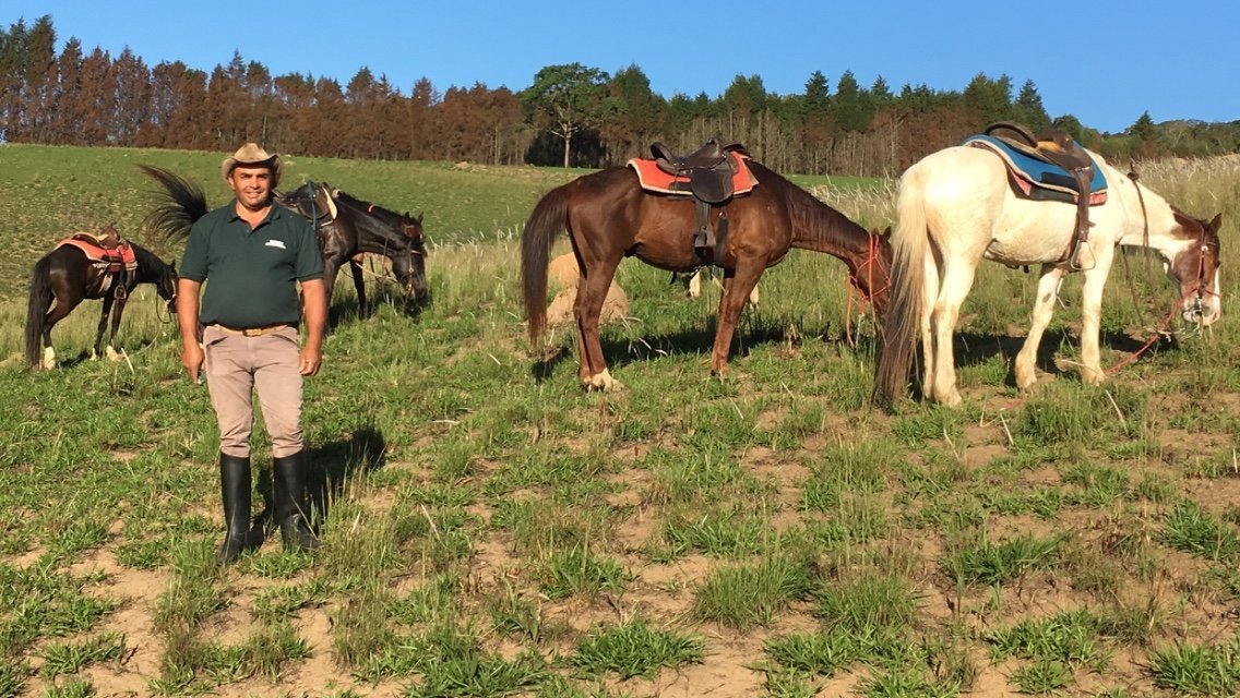 Percurso a cavalo em La Mata 1 hora preço desde 15€ 