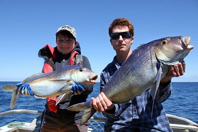 Beach Fishing in Mandurah: Top Spots, Gear, and Expert Tips