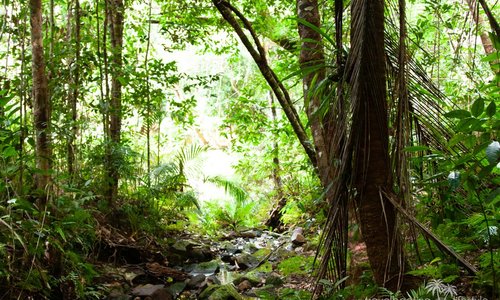 Windin Waterfall Hike, Atherton Tablelands Tropical North Queensland | Cairns