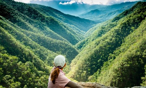 Windin Waterfall Hike, Atherton Tablelands Tropical North Queensland | Cairns