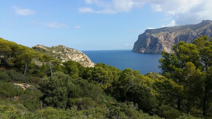 Imagen 8 de Parque Nacional Sa Dragonera
