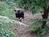 Talley Valley Wildlife Sanctuary (Ziro) - 2022 What to Know Before You ...