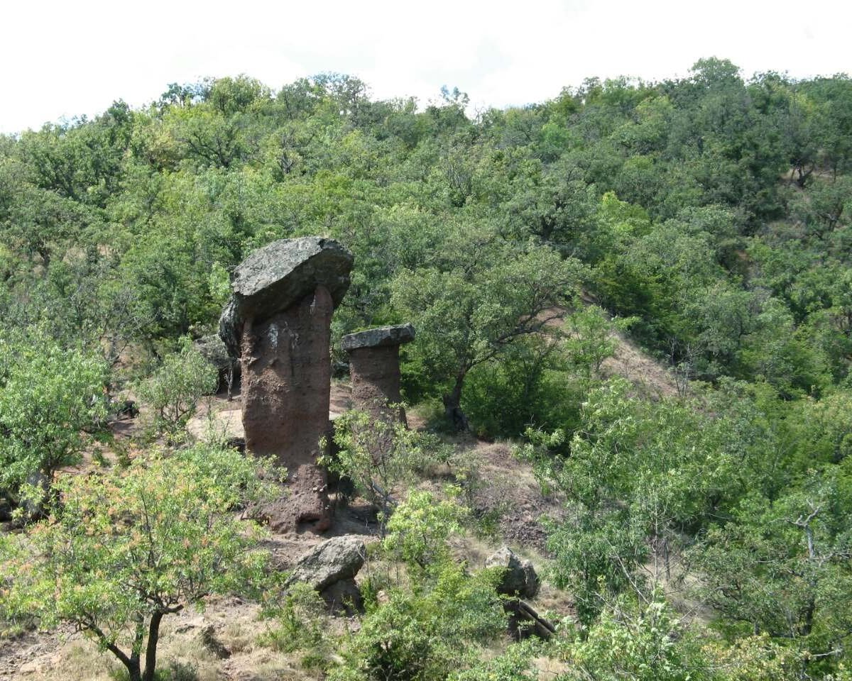 Каменные грибы Долины Сатеры, Сотера: лучшие советы перед посещением -  Tripadvisor