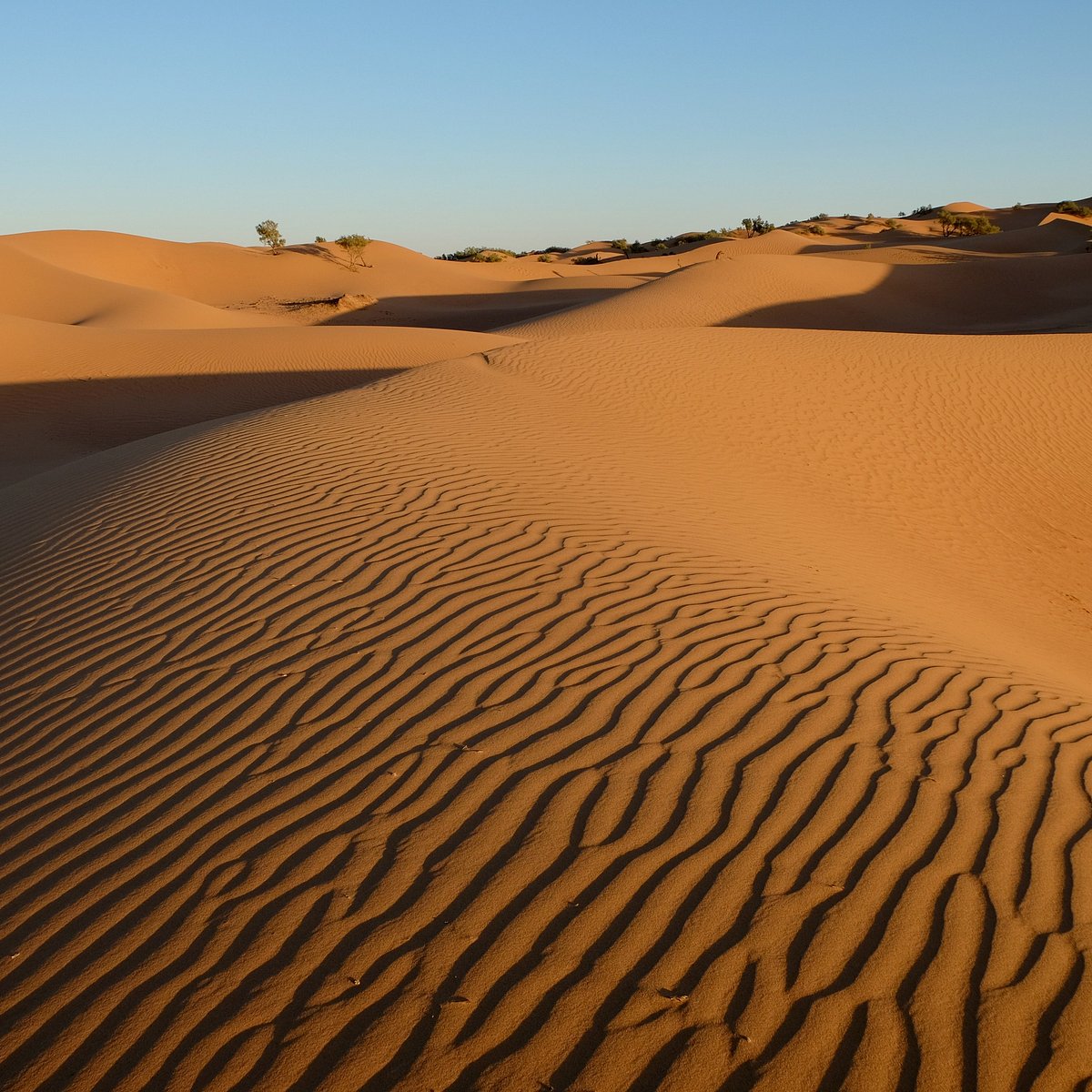 maroc trek desert emotion