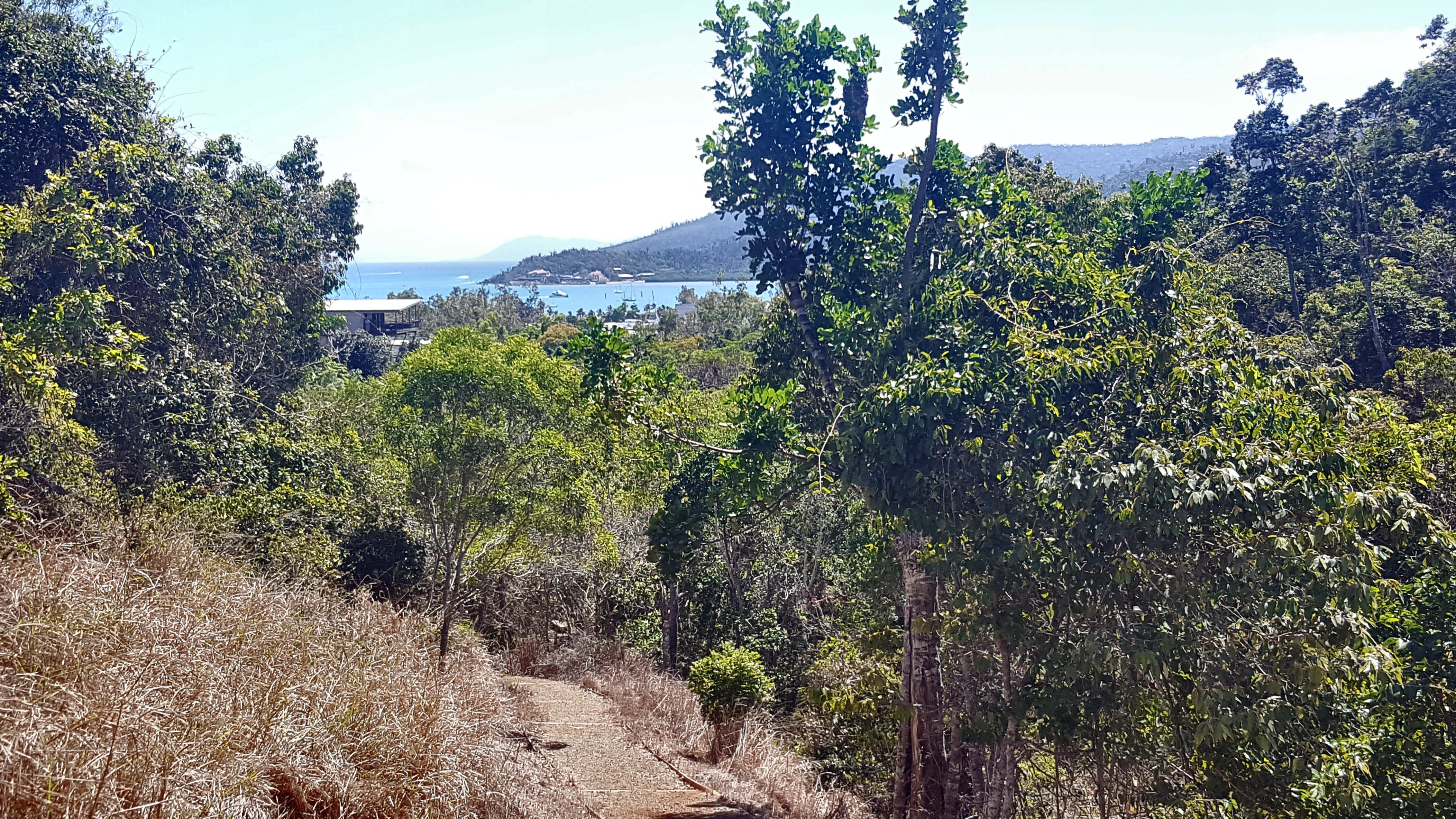 Airlie Creek Track (Airlie Beach) - 2022 Lohnt Es Sich? (Mit Fotos)