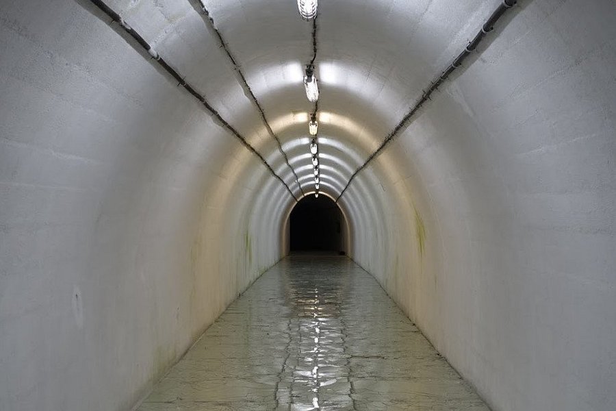 ARK D-0: Tito's Nuclear Bunker image