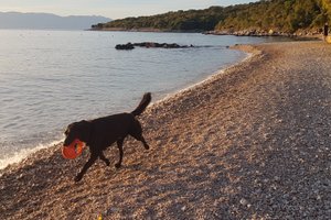 Zwembad en strand