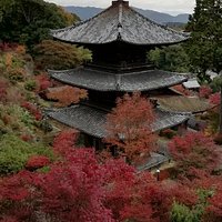 散策路から眺める三重塔です