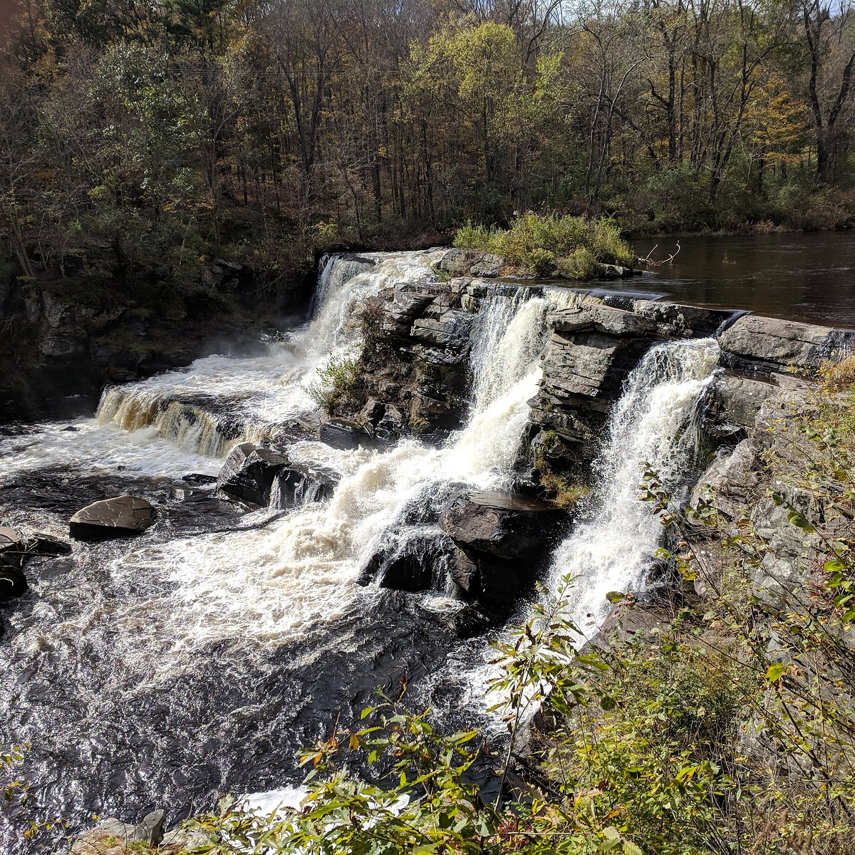 Candle Making or Terrarium Workshop in the Poconos 2024 - Pocono Mountains