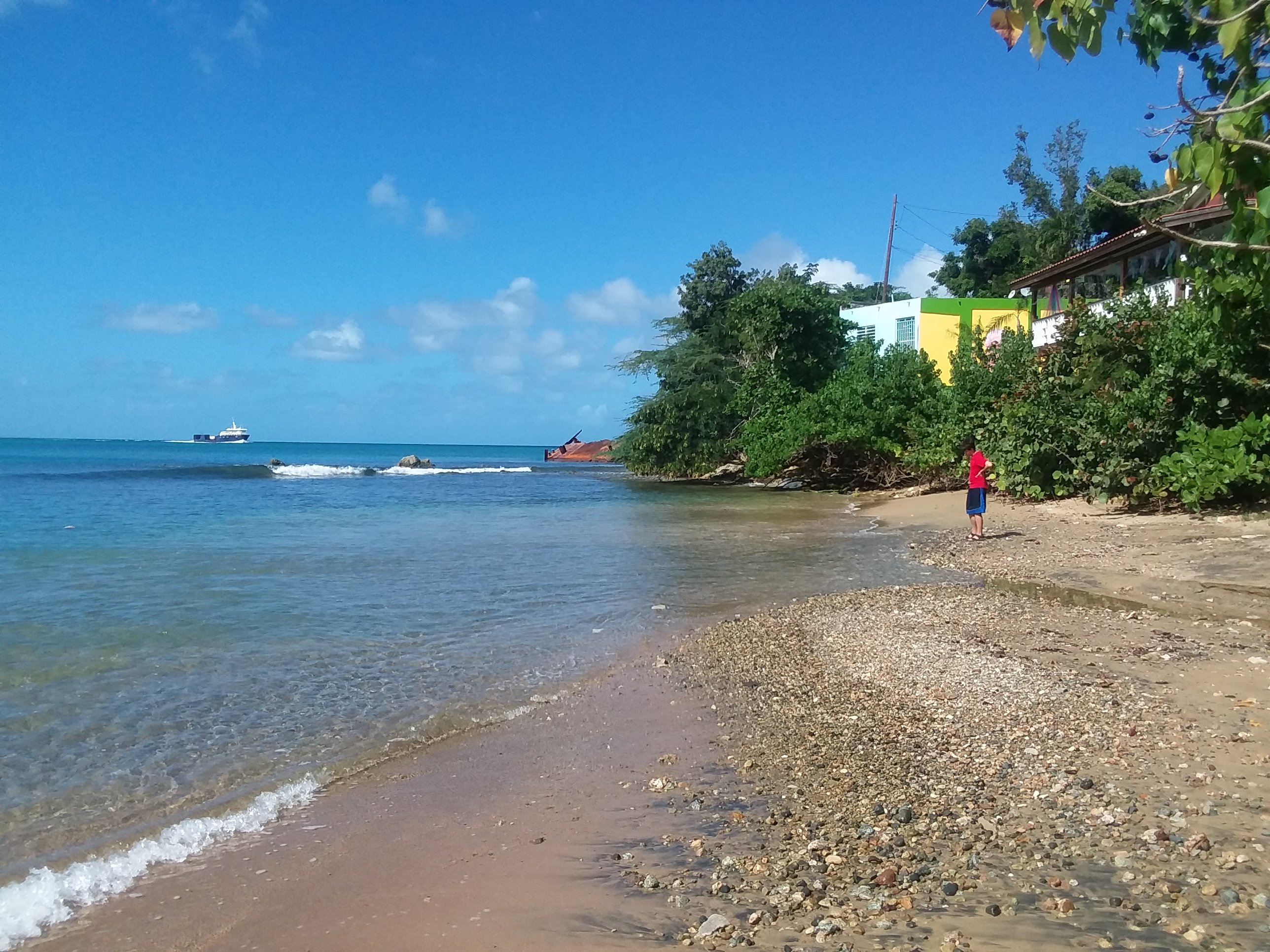 Discovering Sea Glass Beach in Vieques, Puerto Rico: A Treasure Trove of Nature