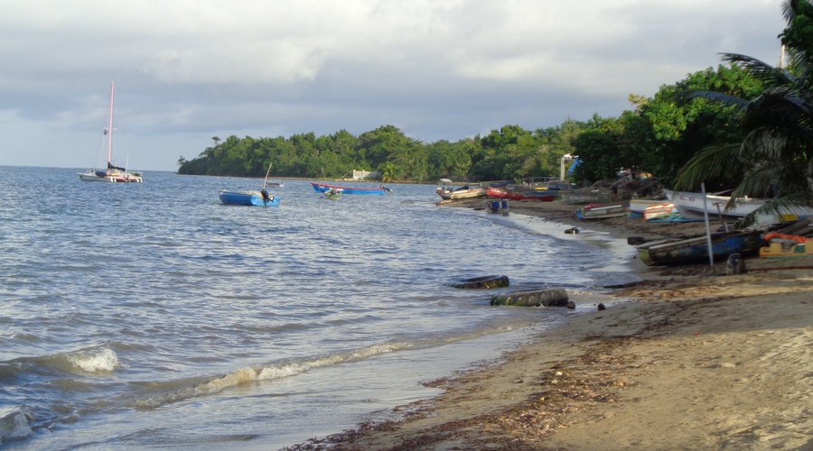 Sharkies Beach