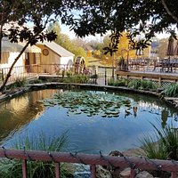The Creek Restaurant