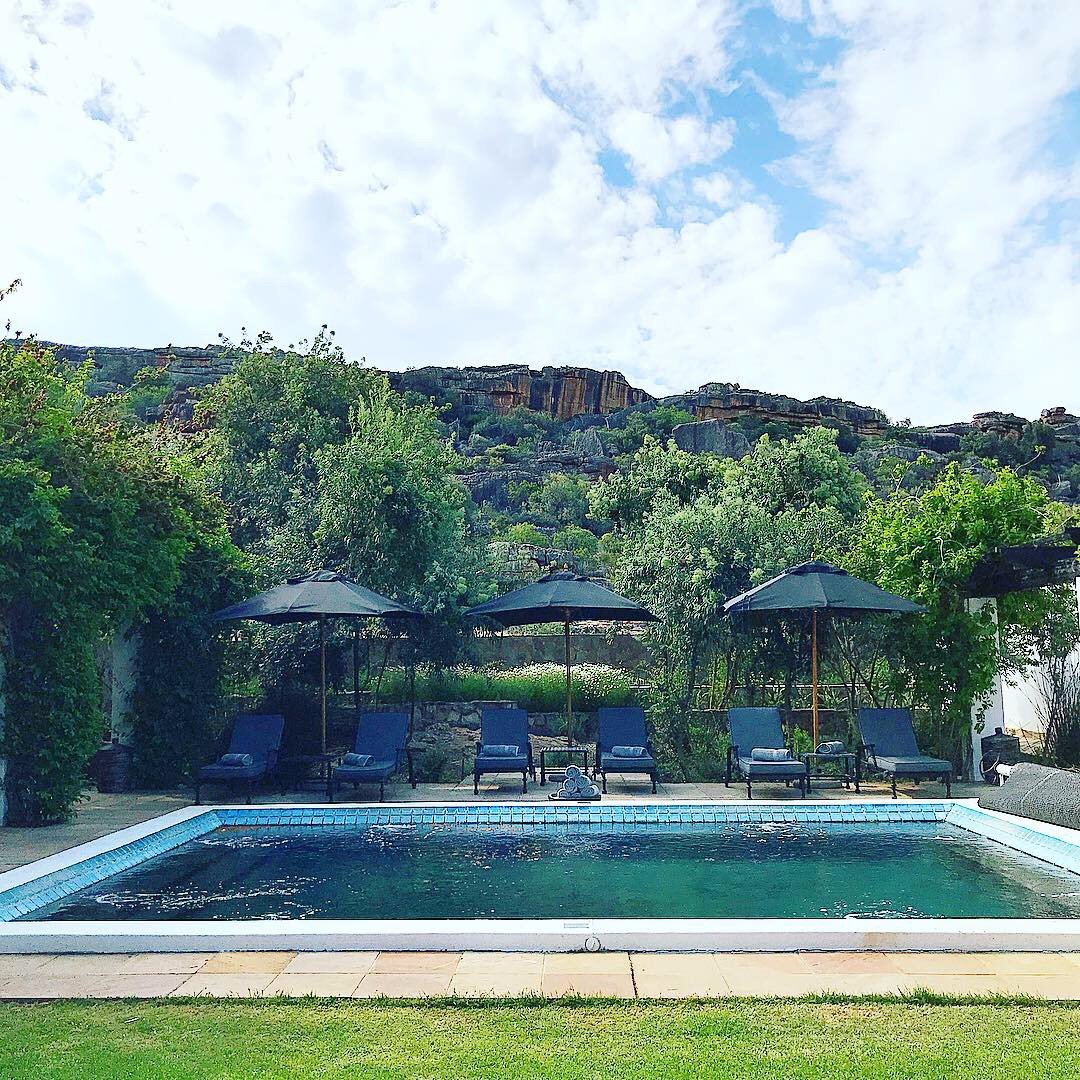 Bushmans Kloof Wilderness Reserve & Wellness Retreat Pool: Pictures ...