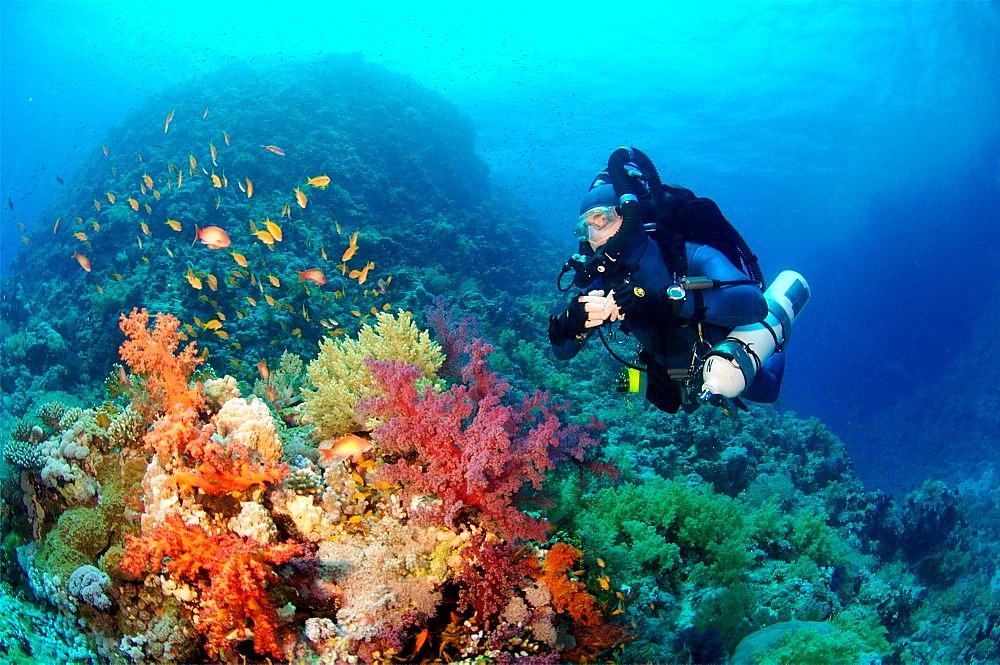 red-sea-trips-hurghada-all-you-need-to-know-before-you-go