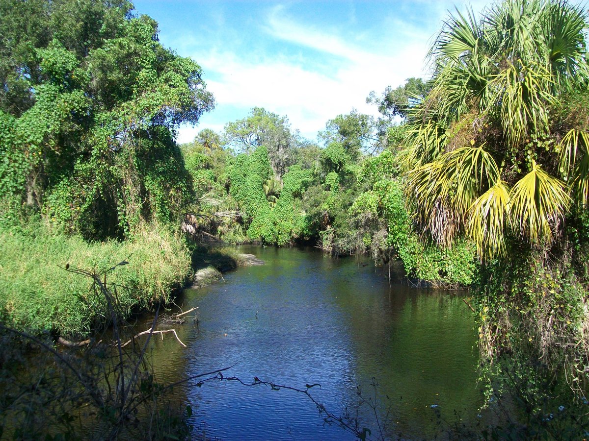 Escape to Nature's Playground: Little Manatee River State Park