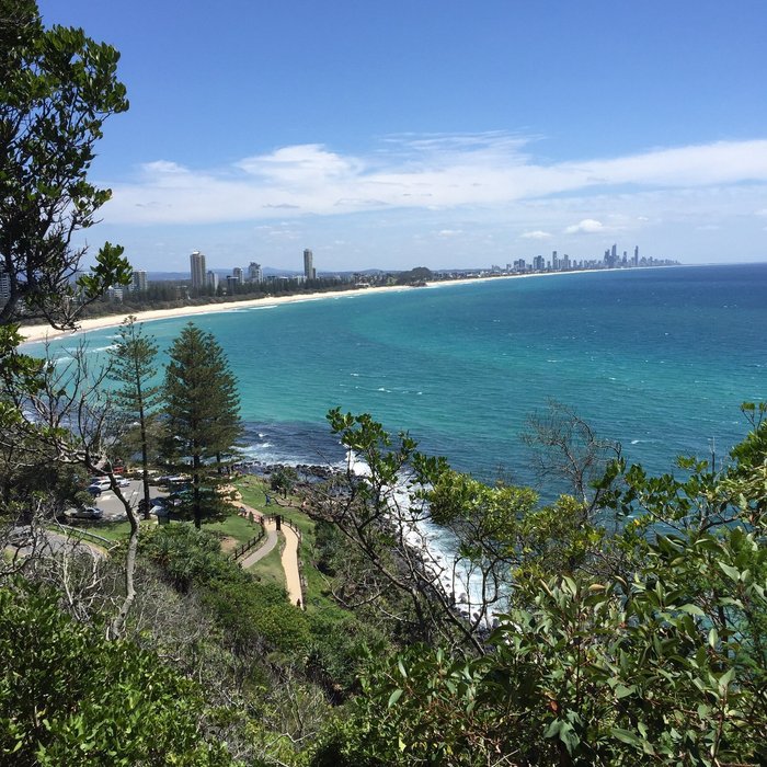 are dogs allowed in burleigh national park