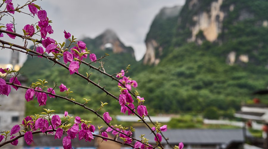 View from Luna rooftop restaurant - Yangshuo Village Inn, Moon Hill Yangshuo China