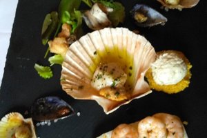 Cibo