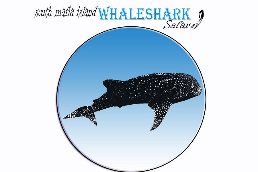 South Mafia Island Whale Shark Safari image