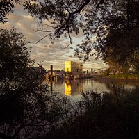 Verwunschen taucht am Elbufer vor dem Entenwerder Elbpark eine Goldene begehbare Skuptur auf.