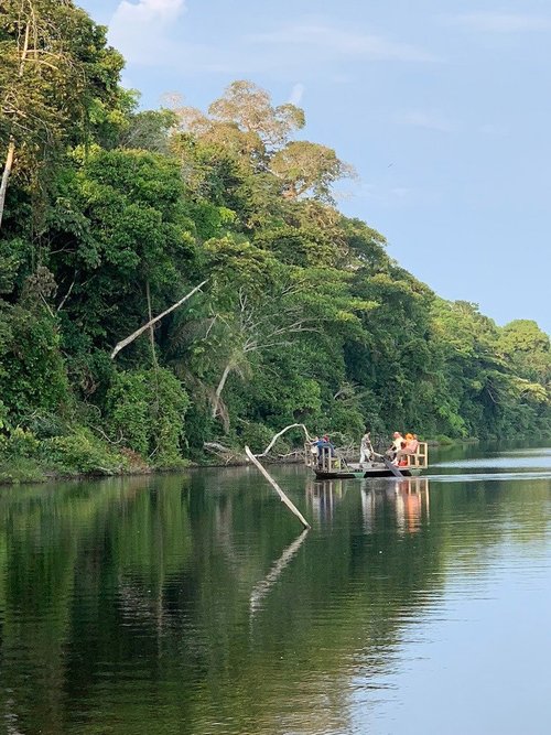 Tambopata National Reserve review images