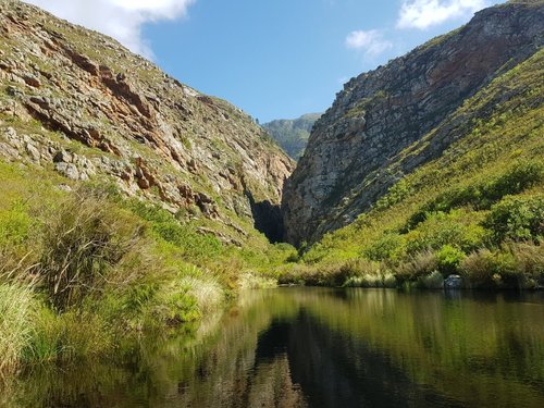 THE 5 BEST Things to Do in Greyton - 2022 (with Photos) - Tripadvisor