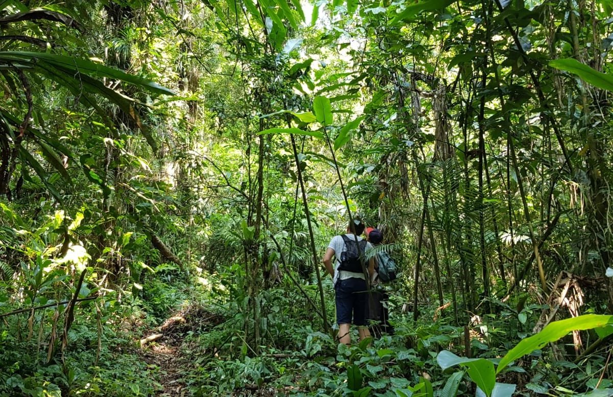 Bogor Mugi Tour - All You Need to Know BEFORE You Go (2024)