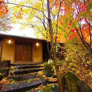 ～玄関　秋～　赤と黄に染まる紅葉に囲まれた玄関。入口までのアプローチも散策に最適♪