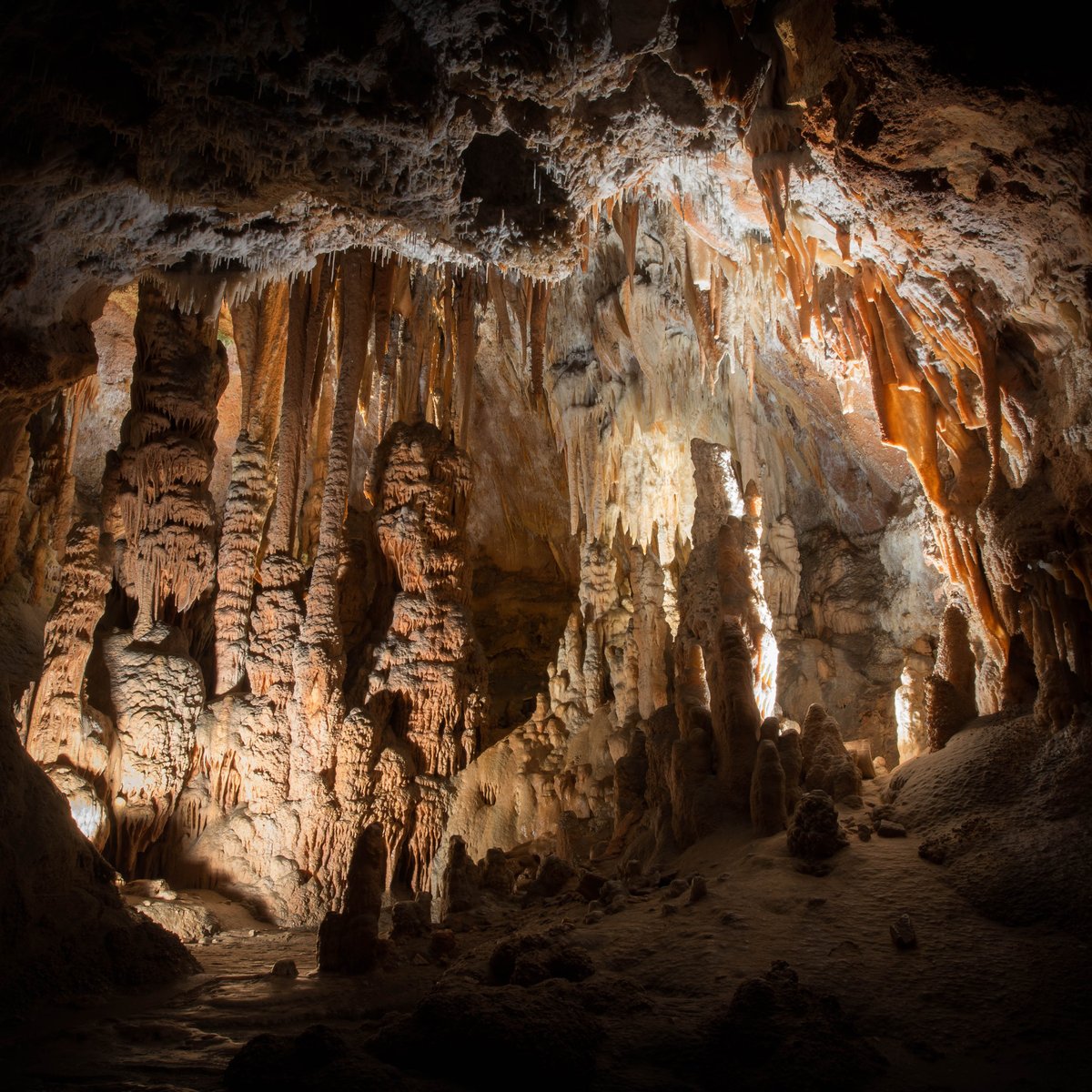 Grotte de la Madeleine, Saint-Remeze: лучшие советы перед посещением -  Tripadvisor