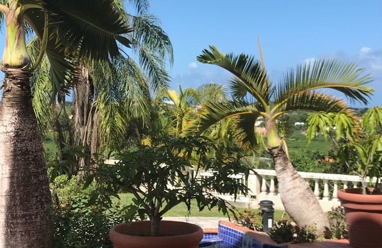 Beside the pool