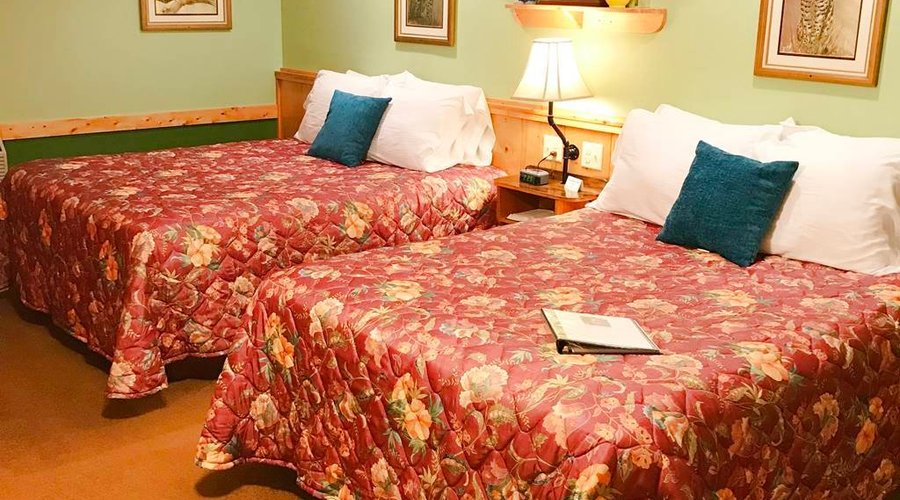 Room 4,two queen beds, looking to the rear of the room