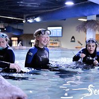 Grab your friends! Snorkeling with the Stingrays is blast.