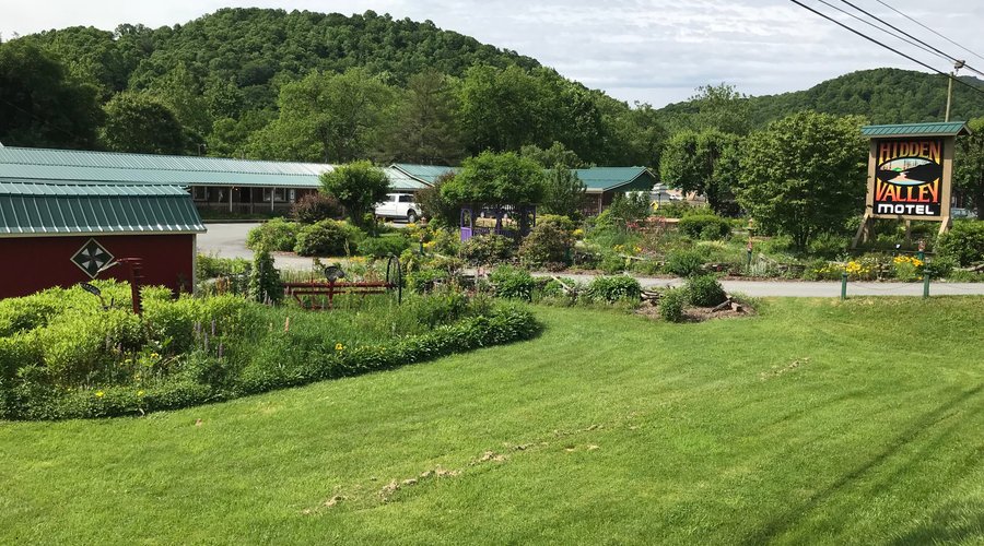 Summer photo looking across the garden at front of motel