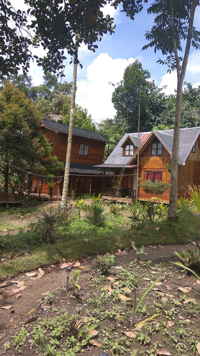 canyon-jungle-stay-updated-2023-prices-lodge-reviews-bukittinggi-indonesia