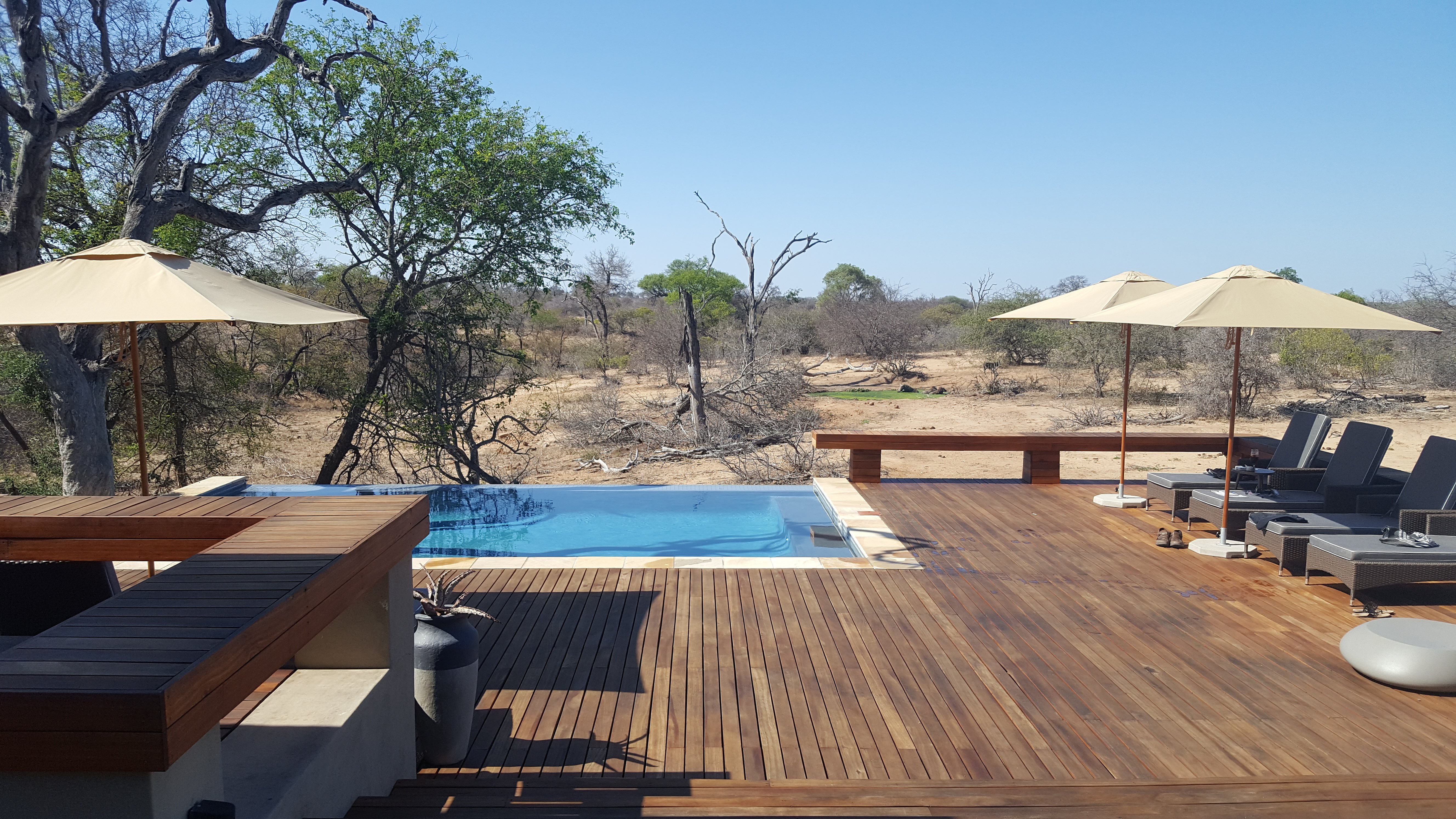 ROCKFIG SAFARI LODGE - Reviews & Price Comparison (Timbavati Private ...