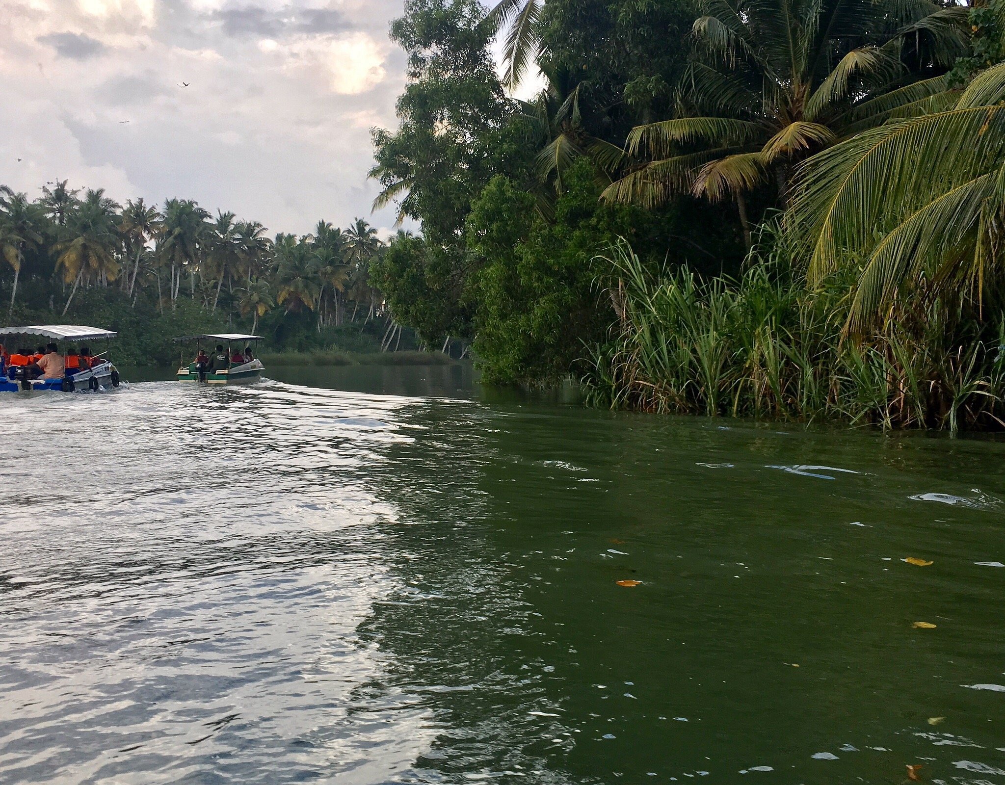 poovar backwater cruise photos