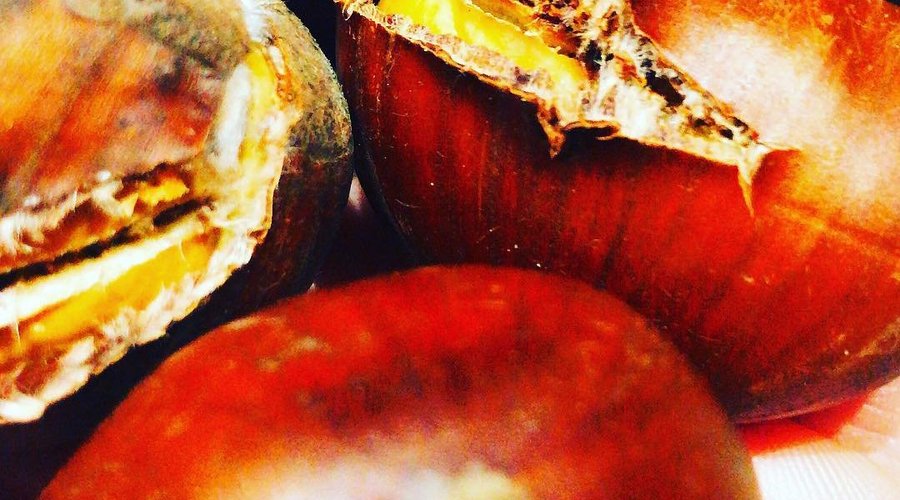 CASTAGNE 