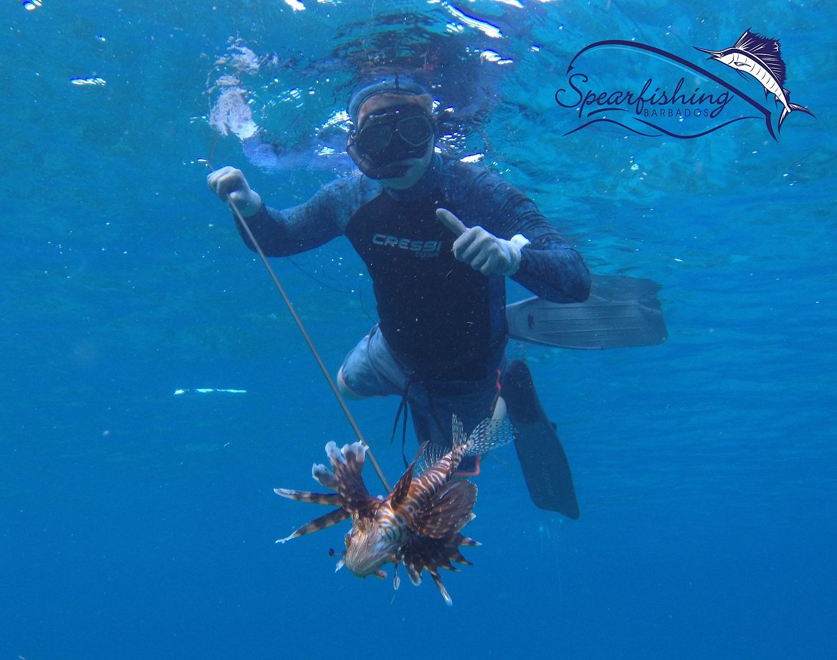 38 Spearfishing ideas  spearfishing, diving, scuba diving