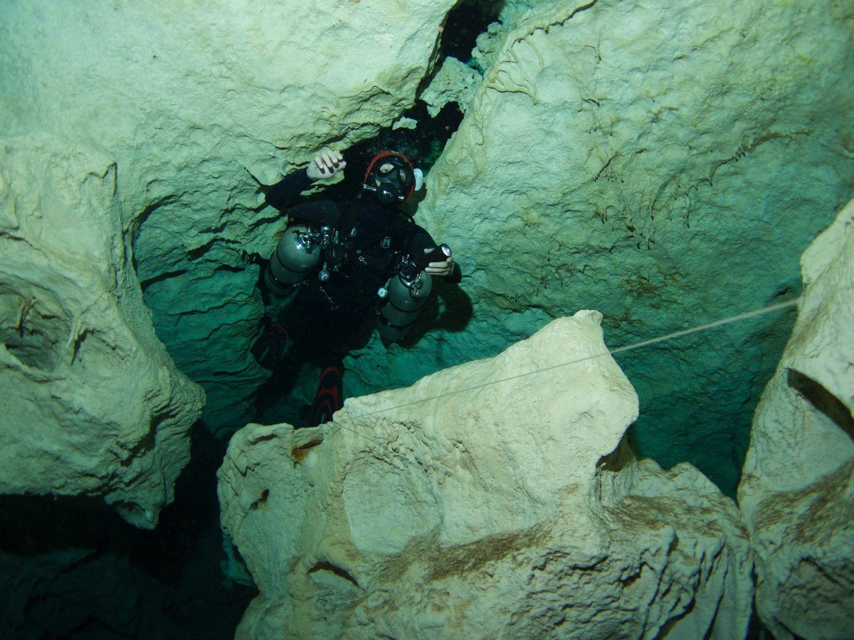 tulum freediving