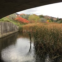 The trail and brook as it passes under a viaduct