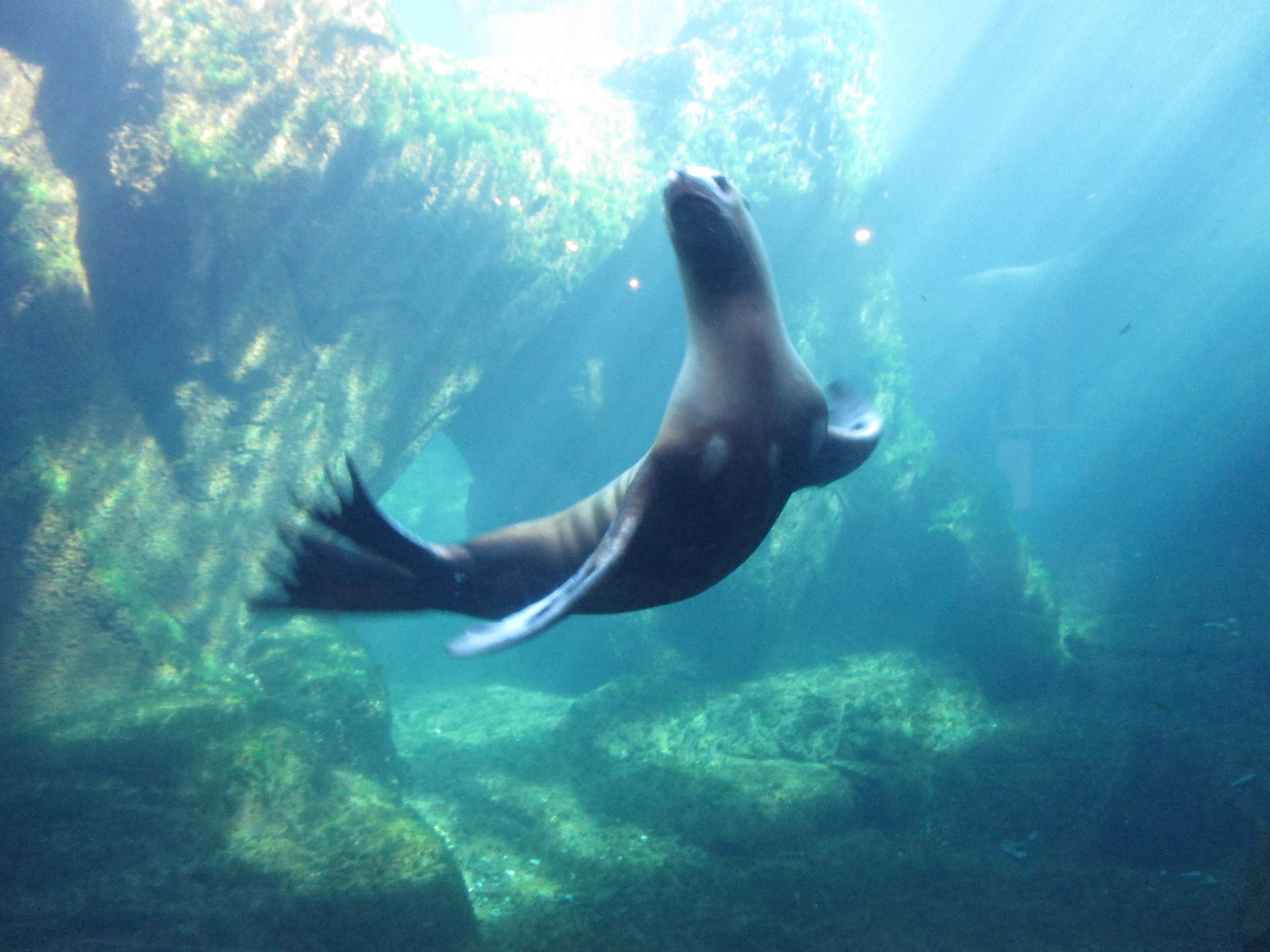 Alaska SeaLife Center - All You Need to Know BEFORE You Go