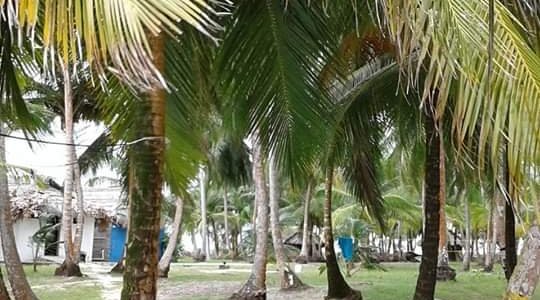 Cabañas para hospedar cerca a la palya