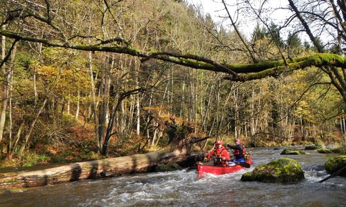 Guided rivercanoeing trips