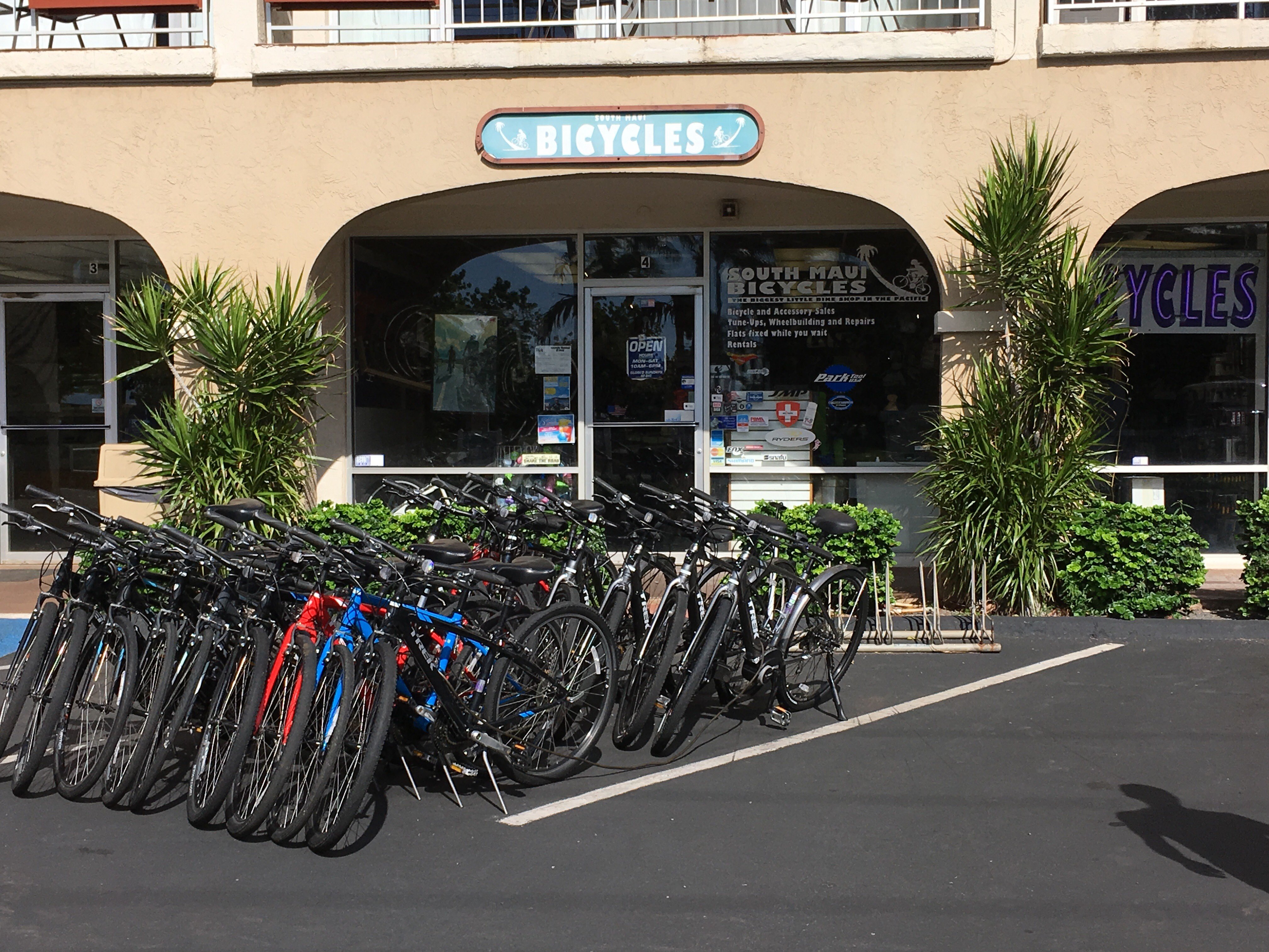 SOUTH MAUI BICYCLES All You MUST Know Before You Go 2024