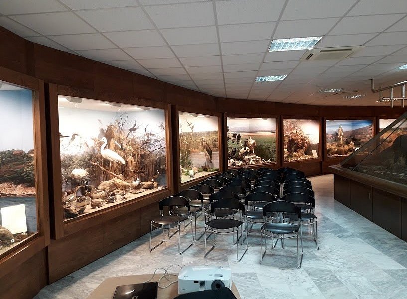Museum Of Natural History - Municipality of Serres image
