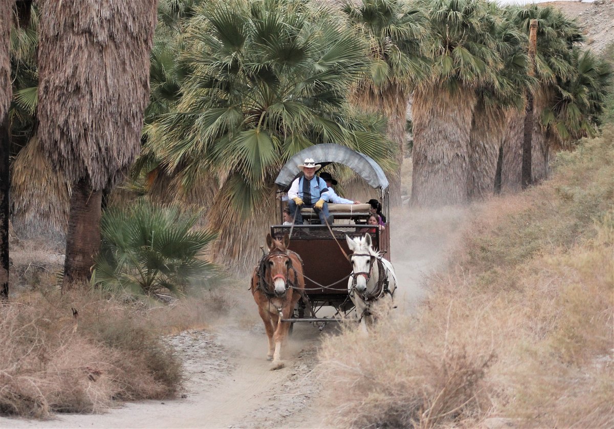 covered wagon tours palm springs reviews