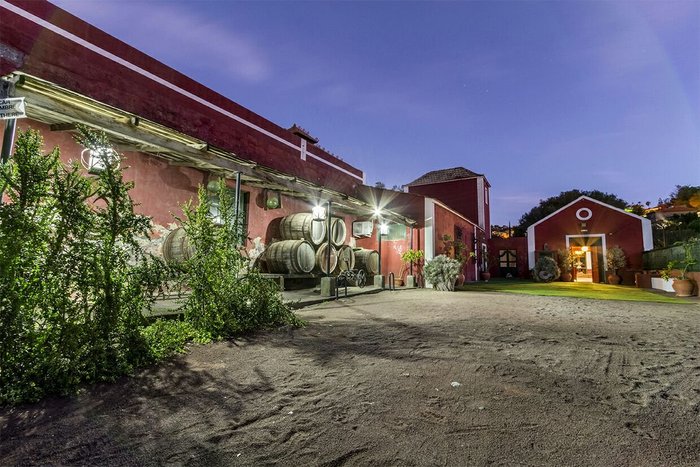 Imagen 2 de Bodega San Juan - Museo del Vino